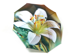 Красивый женский зонт-полуавтомат с цветами FREI REGEN