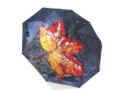 Женский зонт-полуавтомат "Листья"