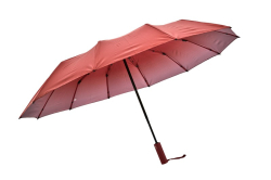 Крепкий и яркий женский зонт 12 спиц