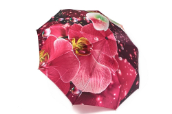 Атласный женский зонт-полуавтомат "Орхидея"